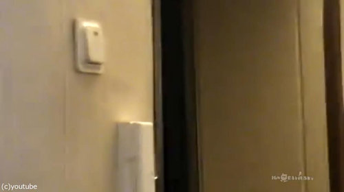 背中に乗ってくる猫11