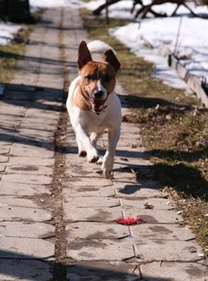 ������Ĺ29