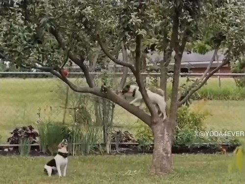 ӏ\䏢¼\¼я쏢¡ߏ⏪Ðҡ\