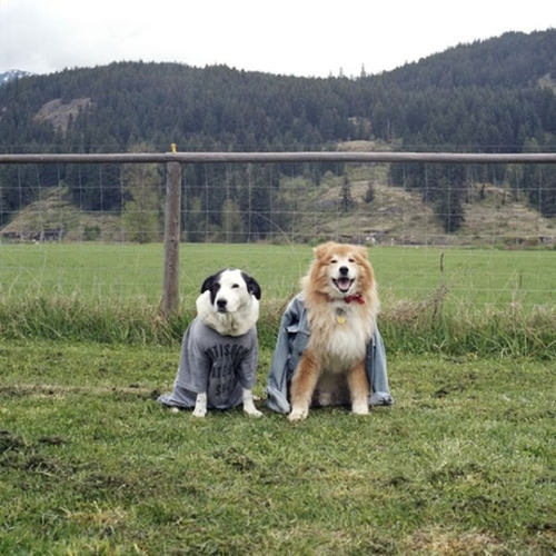 男女の服を交換30