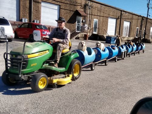 ǯϷ��������겡���֤˾褻��03