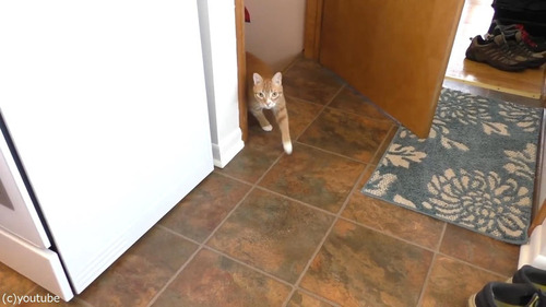 �ۥ��åץ��꡼��򰦤���ǭ02