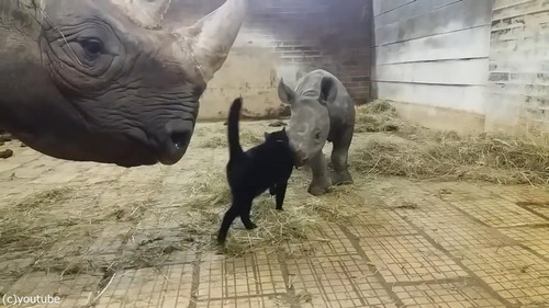 �������֤�����ǭ05