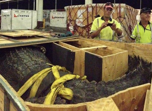 �������ȥ�ꥢ����Υ��ե�02