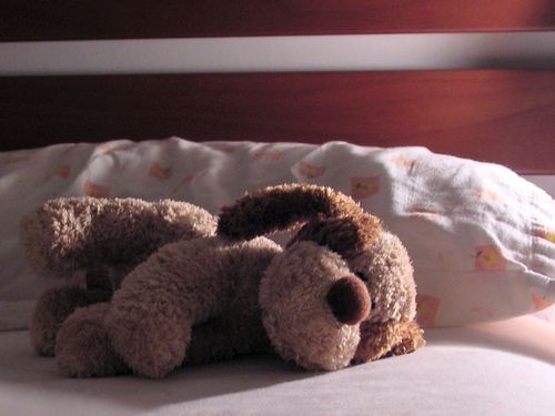 ペットと寝る理想と現実00