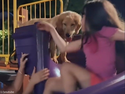 らせん型のすべり台に不安を感じる子犬…大好きな少女たちと一緒に遊びたいので勇気を出す（動画）