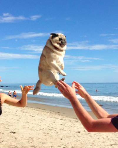 10�ͤɤ������餤���Ρ�