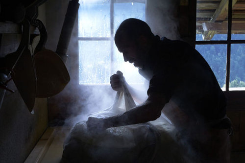 スイス・チーズ15