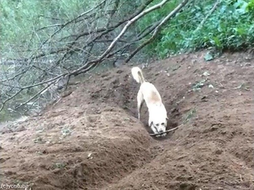 �Ȥ�ͷ�Ӥ����ʸ�01