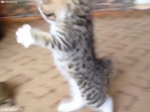 ��ǭvs�ҵ�01