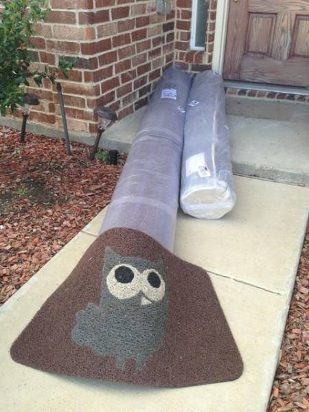 とりあえず玄関マットの下に置けばいいよね 海外の宅配業者のいい加減さがよくわかる写真18枚 らばq とりあえず玄関マットの下に置けばいいよね 海外の宅配業者のいい加減さがよくわかる写真18枚 らばq