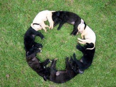 �ޤ�롢�ޤ��衢���Ϥޤ��