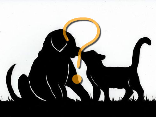 うちの犬の態度の違い00