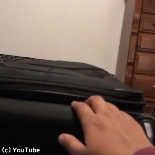 スーツケースを占拠する猫01