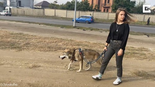 �ڥåȥ������ߤȤγڤ�����������04