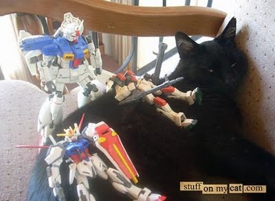 埋没する猫たち10