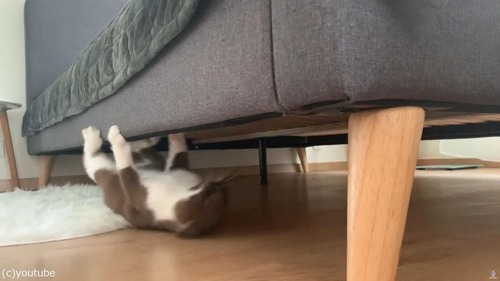 �դ����⤯ǭ03