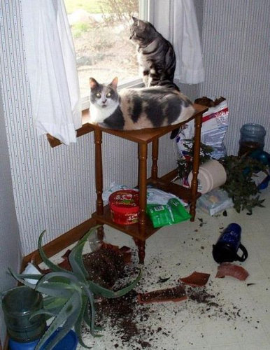 イタズラ動物02