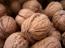 生産性をあげる20の食べ物06