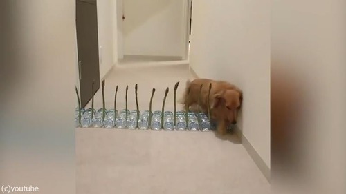 �����ѥ饬��VS��05