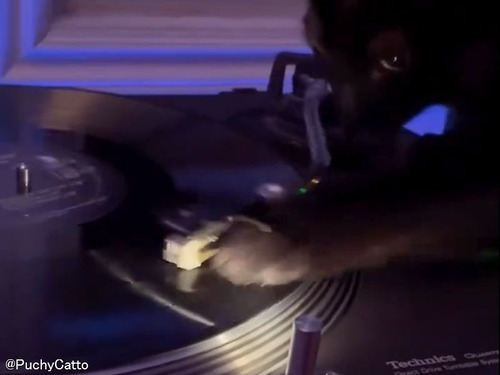 猫がレコードのスクラッチをしたら…DJ顔負けのテクニック!?