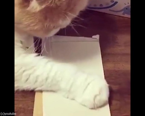 似顔絵を描こうと思ったら02