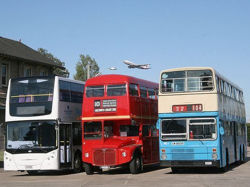 オーストラリアの二階建てバスを犬が運転した00