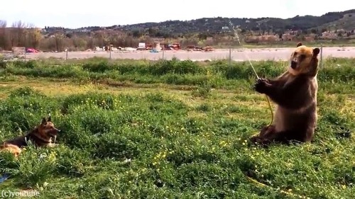 ��ͷ�Ӥ�ڤ��෧�ȸ�01