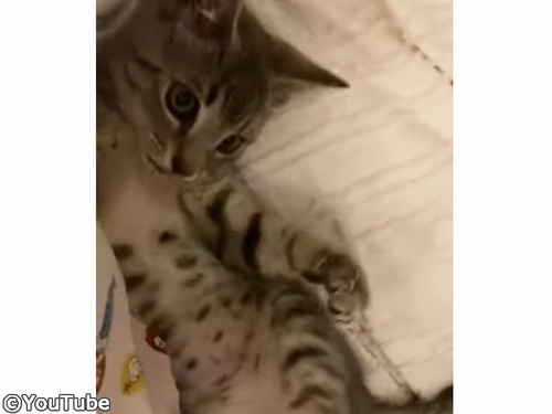 ǭ�֤�����㤬�ġĤʤ��ʤä���ä��˥�00