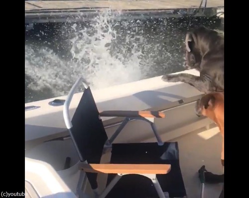 ���ΰ����Ų᤮��Ȥ�03