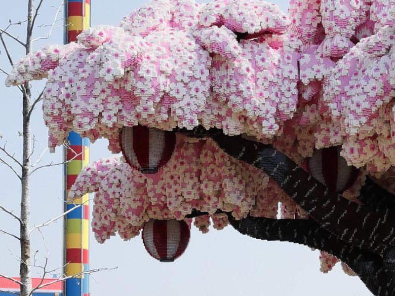 外国人 日本のレゴランドの 桜の木 が すさまじいことになってる らばq 外国人 日本のレゴランドの 桜の木 が すさまじいことになってる らばq