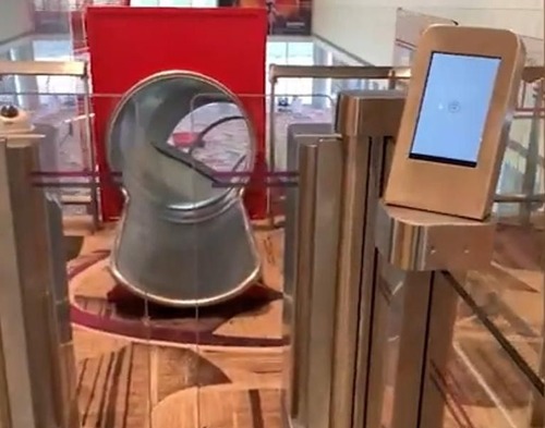 ���󥬥ݡ�������Τ��٤���01