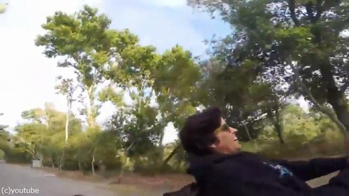 飼い主の車イスを押すジャーマンシェパード01