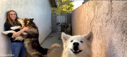 �������߸����礭�����ɤ���㤯����Ť���˷02