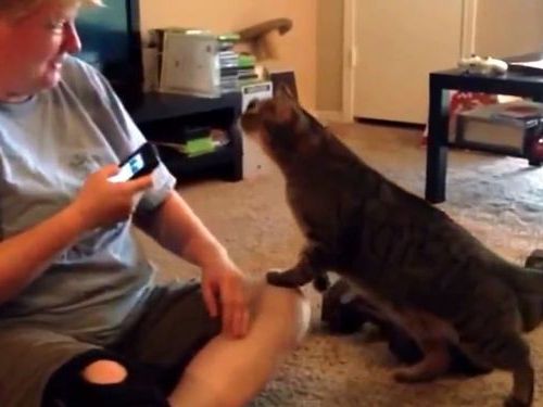 ǭ���Ĥ���01