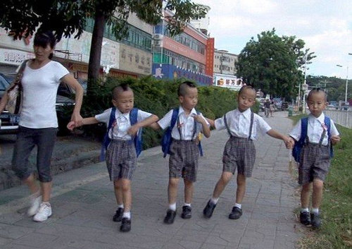 これで区別が付くでしょ 4つ子の頭を番号順に刈り上げる 中国 らばq これで区別が付くでしょ 4つ子の頭を番号順に刈り上げる 中国 らばq