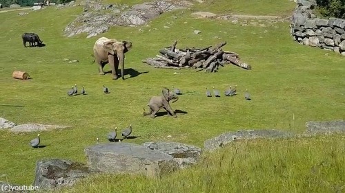 ͷ�Ӥ�̴���ž��Ǥ��ޤ��֤���󥾥�02