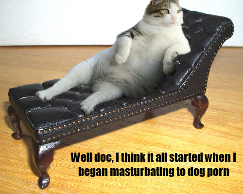 余裕のある猫05