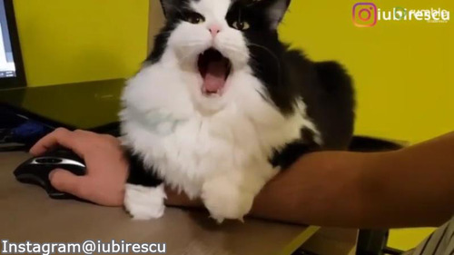 ����ʥ����०�����ޡ����ߤ���03