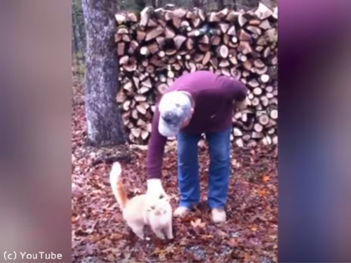 猫の前で歌ったら…01