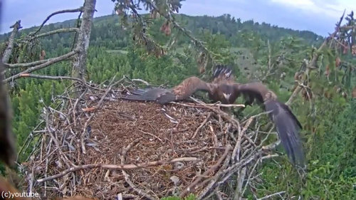 �亮�����Ϥ˼��Ԥ����03