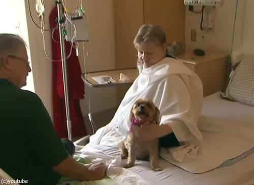 入院患者のペットを持ち込んでいい病院00