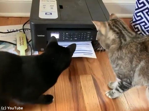 �ץ�󥿡��˶�̣�š���ǭ�����襤��00