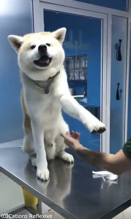 ͦ���ʽ��ĸ�02