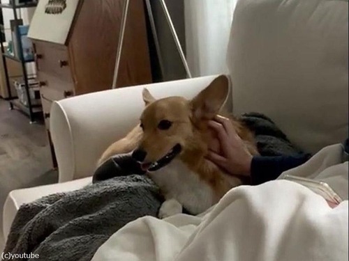 �����祳���礷�Ƥۤ�����������03