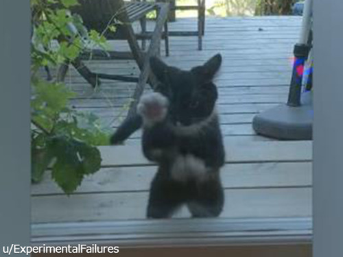 �Ǥ�᤮�����Ȥ�������ߤ�����ʢ�˥��00