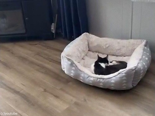 ���������ʥ٥åɤǲ���������ͳ02