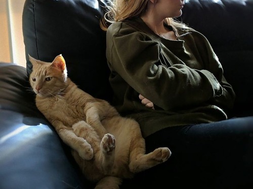 ǭ�����̤����͡�00