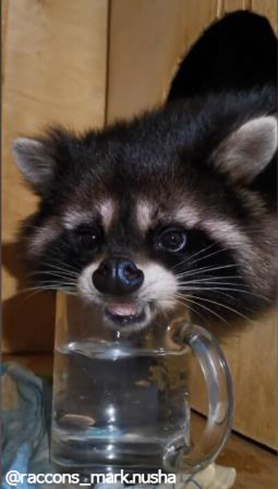 ȤĸŪʤˤʤäƤޤ饤02