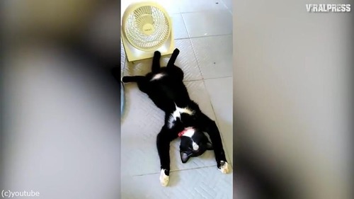 ������������������˺����ä�ǭ03